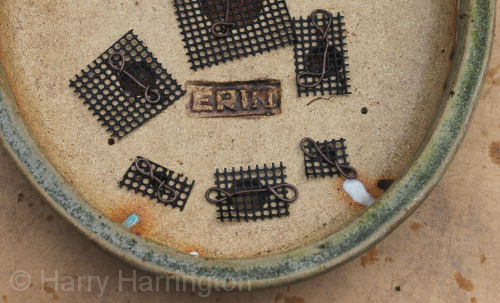 bonsai drainage mesh